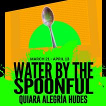 Water By The Spoonful by Quiara Alegria Hudes