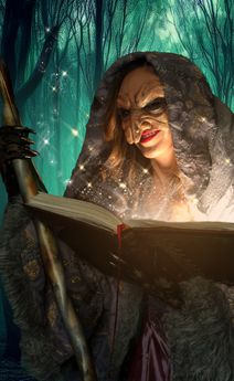 Into the Woods