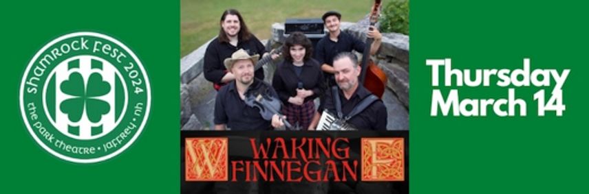 Waking Finnegan show poster