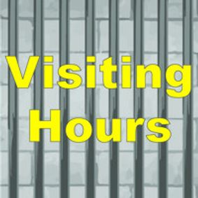 Visiting Hours show poster