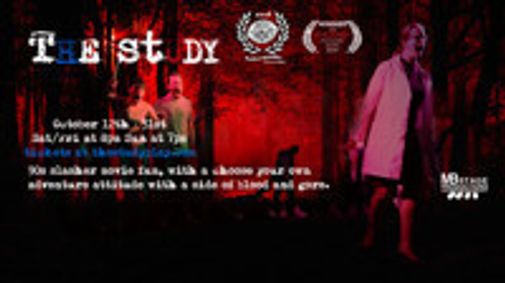 THE STUDY show poster