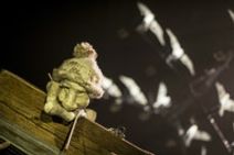 Boom Arts presents Silencio Blanco's Pescador (Chile)