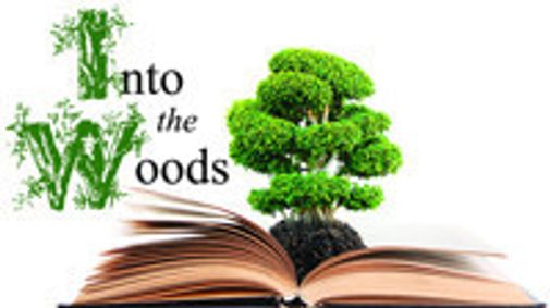 Into the Woods show poster