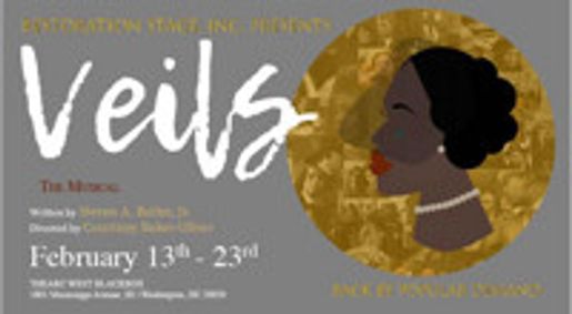 Veils show poster