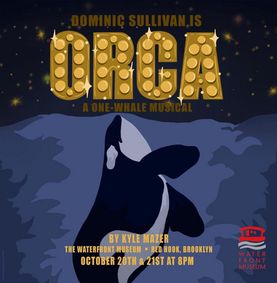 Taylor Swift  show poster