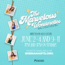 The Marvelous Wonderettes
