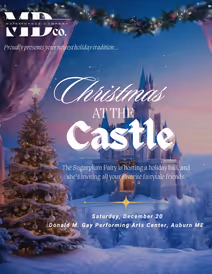 Christmas At The Castle