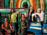Peace of Woodstock - Tampa in Tampa