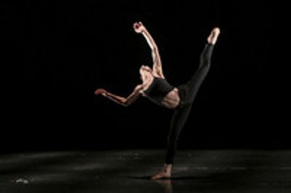 Fertile Ground show poster