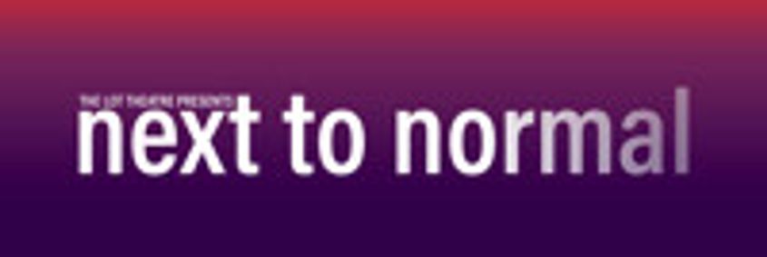Next to Normal show poster