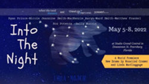 Into The Night  show poster