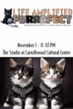 Life Amplified PURRRFECT in Tampa