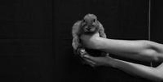 White Rabbit, Red Rabbit show poster