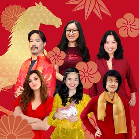 Model Majority Year of The Horse Comedy Show show poster