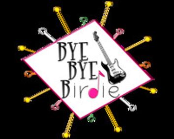 Bye Bye Birdie show poster