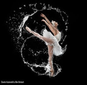 Swan Lake show poster