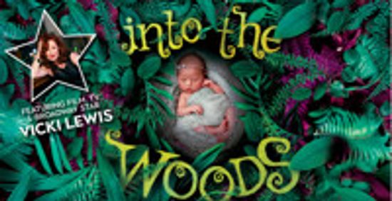 Into The Woods show poster