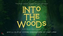 Into the Woods