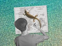 My Family and Other Animals