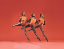 Dance Theatre of Harlem