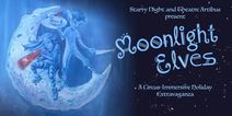 Moonlight Elves: A Circus-Immersive Holiday Extravaganza