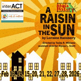 A Raisin in The Sun show poster
