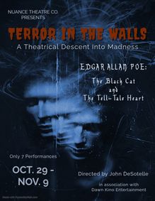 TERROR IN THE WALLS show poster