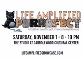 Life Amplified PURRRFECT in Tampa