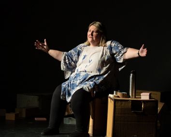 Little Boxes show poster