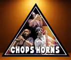 California Toe Jam featuring Chops Horns in Tampa
