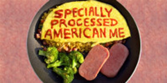 Specially Processed American Me (part of FailSafe Festival 2018) show poster