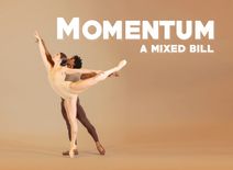 Momentum: A Mixed Bill