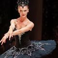 World Ballet Company: Swan Lake in Austin