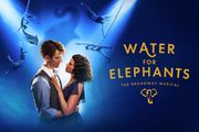 Water for Elephants in Orlando