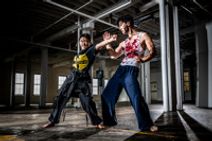 THE KUNG FU ZOMBIES SAGA: SHAMAN WARRIOR & CANNIBALS