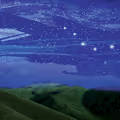 Starry Nights in Long Island