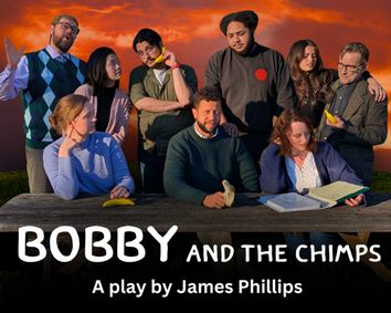 Bobby and the Chimps show poster