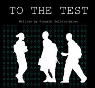 TO THE TEST show poster