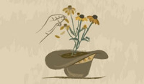 Perennials show poster