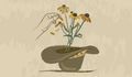 Perennials in Broadway