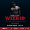 Wizkid with Color of Noize in Los Angeles