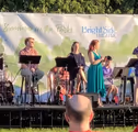 Summer in the Parks Concert in Chicago
