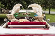 DisGraceland by The Huxleys at Abbotsford Convent