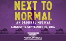 NEXT TO NORMAL