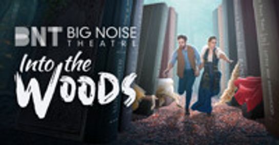 Into the Woods show poster