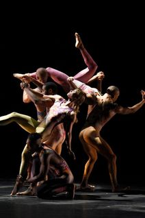 Pilobolus re:CREATION