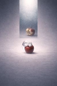 The Spring That Never Came