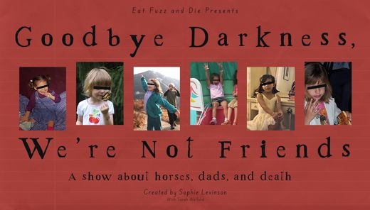 Goodbye Darkness, We're Not Friends