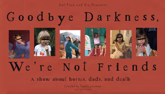 Goodbye Darkness, We're Not Friends