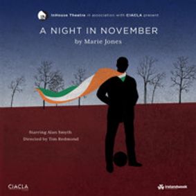 A Night in November show poster